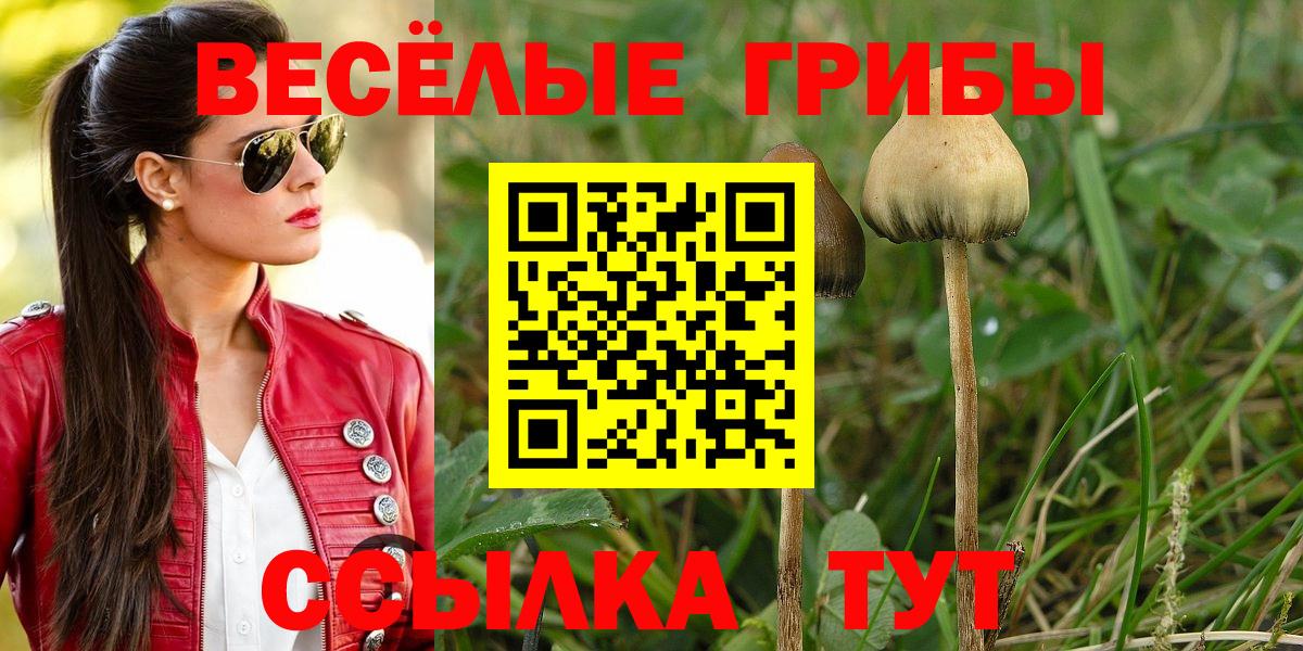 Галлюциногенные грибы Psilocybine cubensis  Вход с VPN  Ялта 